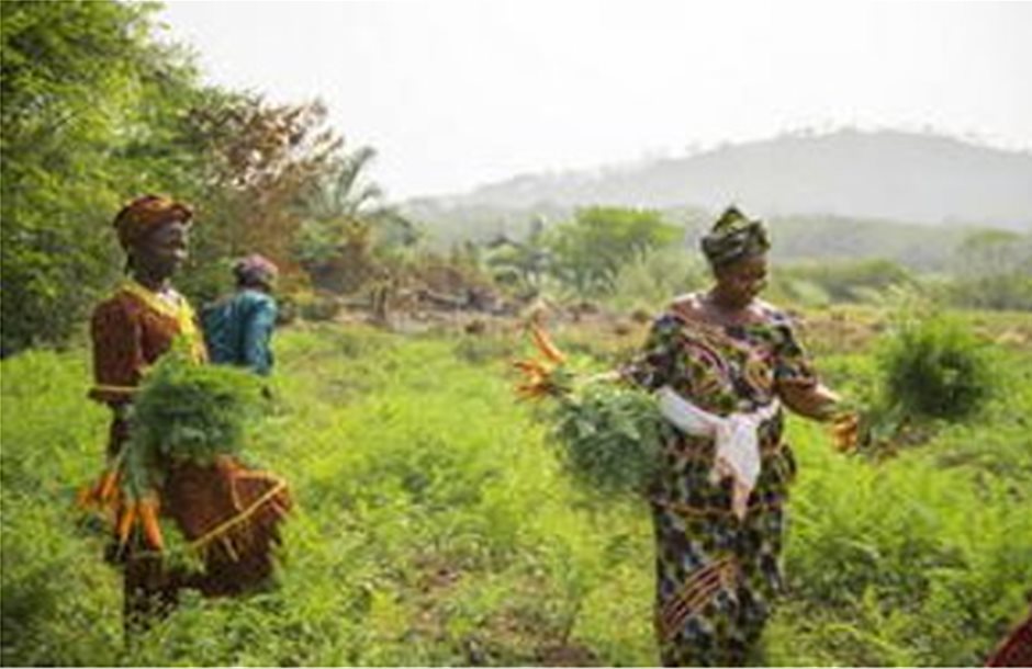 FAO: Επενδύσεις στη γεωργία για την καταπολέμηση της κλιματικής αλλαγής